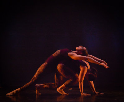 Celebrate Dance-3238.jpg