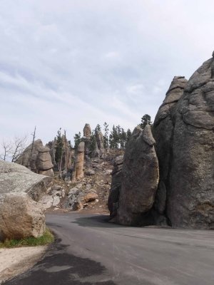 Needles Highway Rock Formations