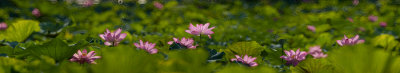 100_IMG_4457_4469-1b.jpg