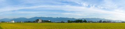 IMG_1771_1780-1b.jpg