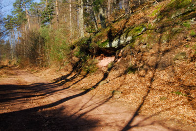 Curvy shadows