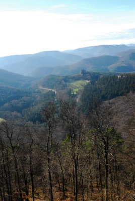 Fleckenstein view