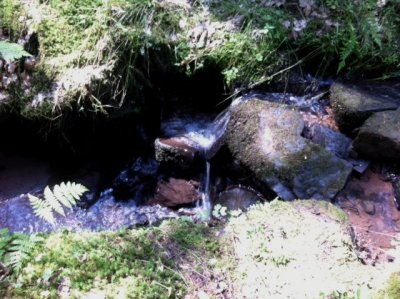 Water - source of Zinsel.JPG