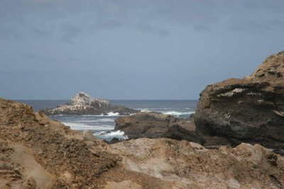 IMG_9393.jpg
