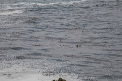 IMG_9395.jpg