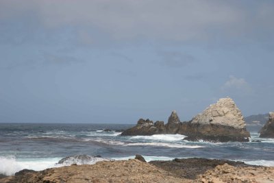 IMG_9399.jpg
