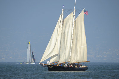x_7004675.JPG