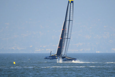 x_7004871.JPG