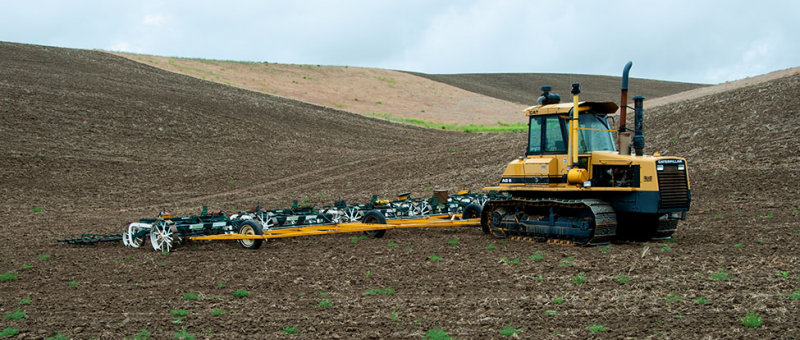 Palouse 2006