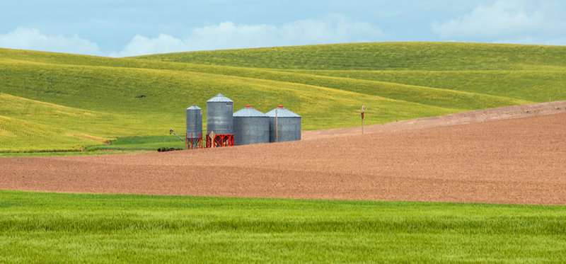 Palouse 2006