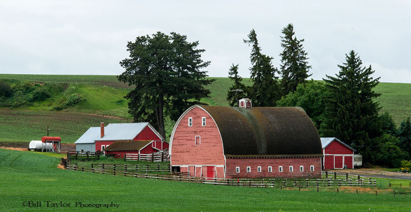 Palouse 2006