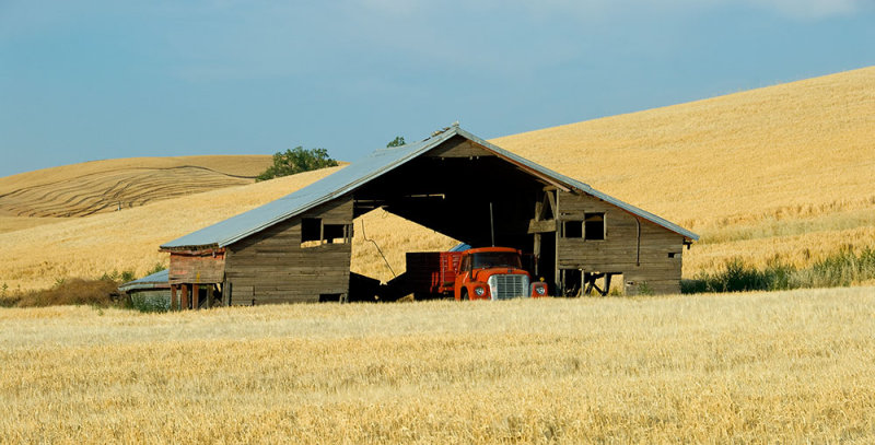 Palouse 2006