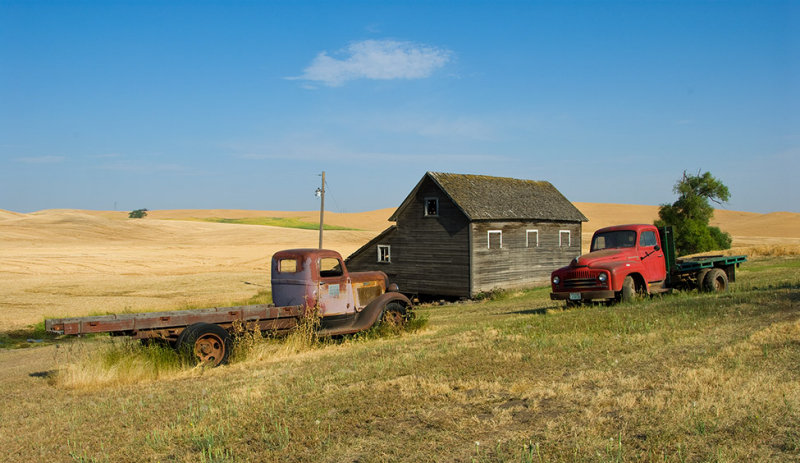 Palouse 2006