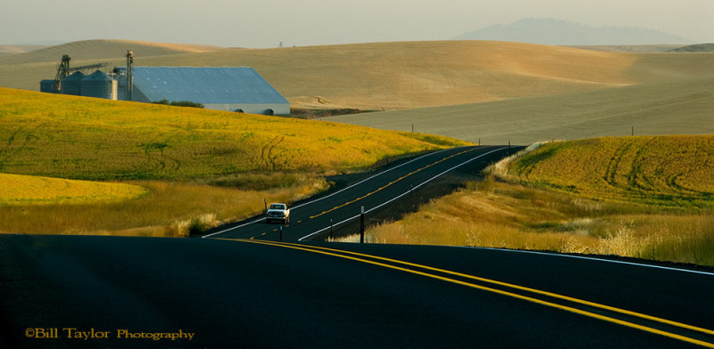 Palouse 2006