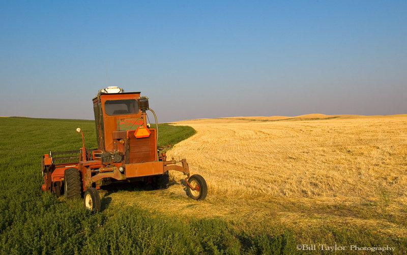 Palouse 2006