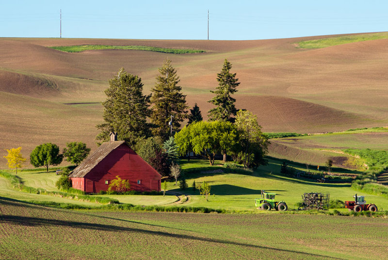 Palouse 2013