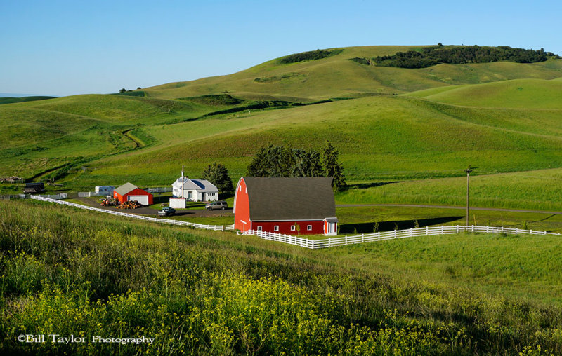 Palouse 2013