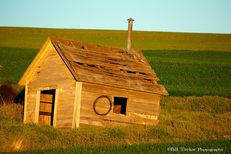 Palouse 2013