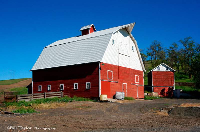 Palouse 2013