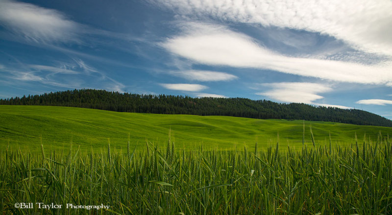 Kamiak Butte