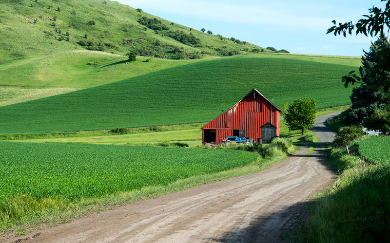 Palouse 2013