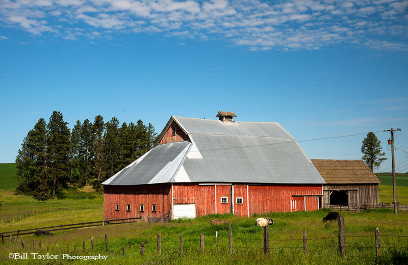 Palouse 2013