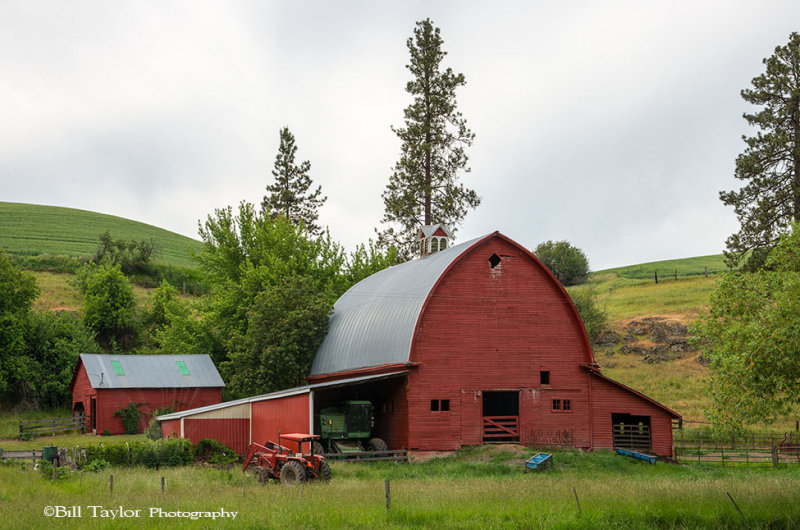 Palouse 2013