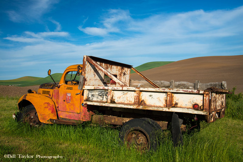 Palouse 2013