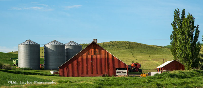 Palouse 2013