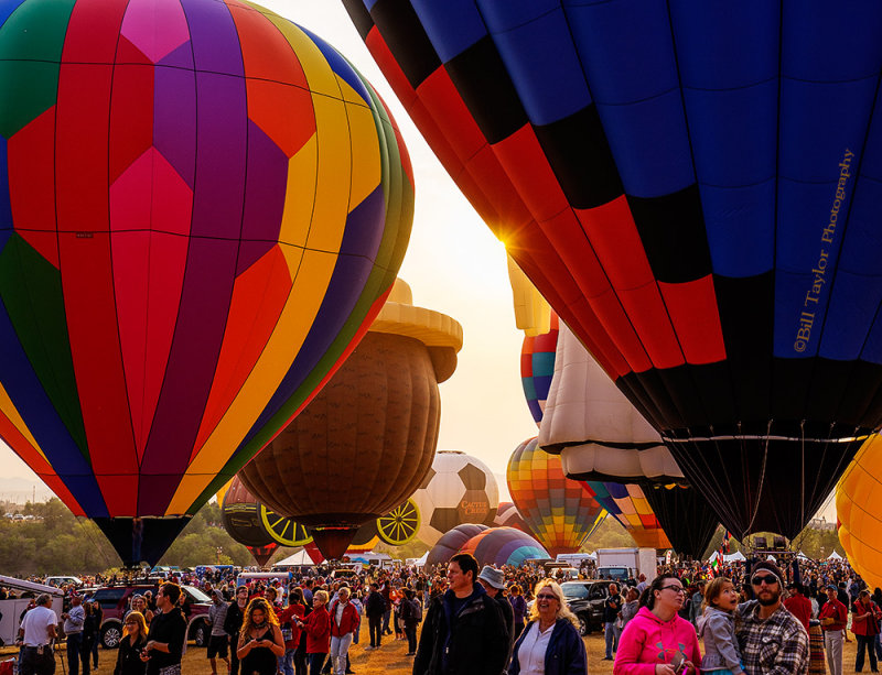 The Great Reno Balloon Race 2015