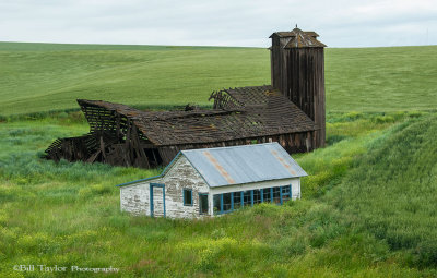 Palouse 2006