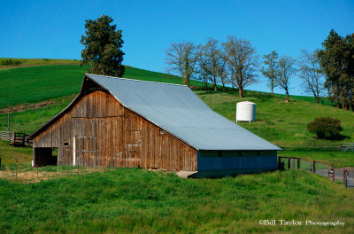 Palouse 2013