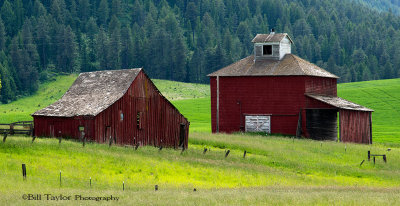 Kamiak Butte