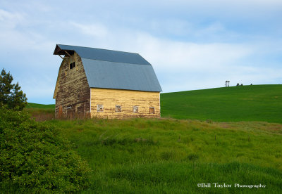 Palouse 2013