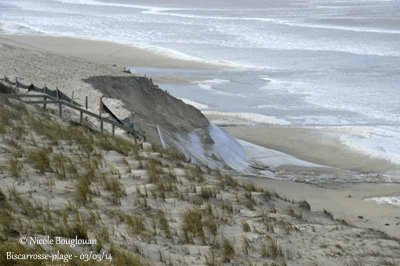 8584 - The waves swallowed up several metres of sand dunes