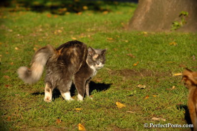 Oct22_13_293.jpg