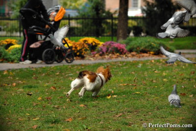 Oct22_13_106.jpg