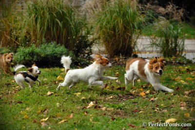 Oct22_13_136.jpg
