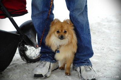 Feb13_14_053.jpg