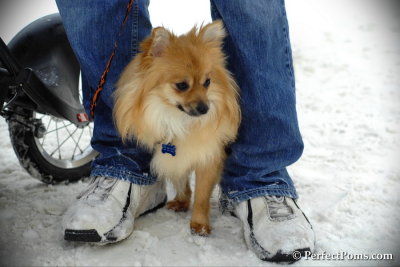 Feb13_14_054.jpg