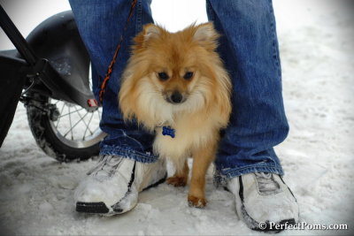 Feb13_14_055.jpg