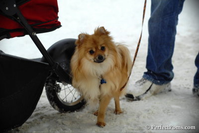 Feb13_14_057.jpg