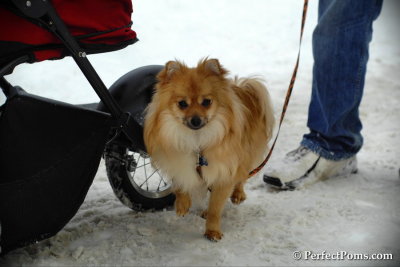 Feb13_14_058.jpg