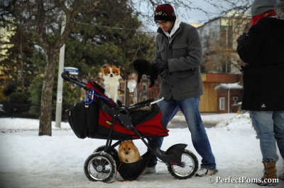 Feb13_14_075.JPG