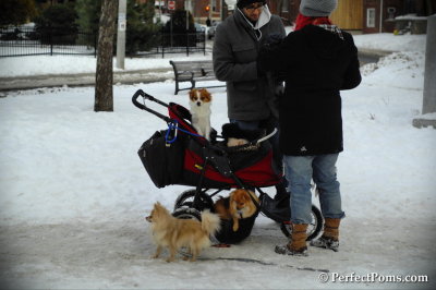 Feb13_14_076.JPG