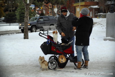 Feb13_14_077.JPG