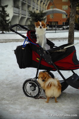 Feb13_14_079.JPG