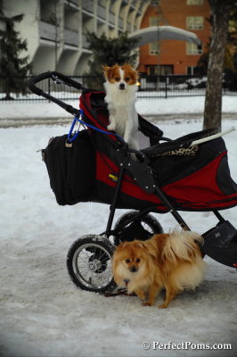 Feb13_14_081.JPG