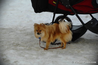 Feb13_14_082.jpg