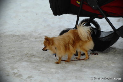 Feb13_14_083.jpg
